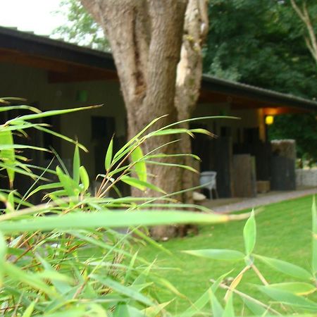 Le Parc Du Chateau Hermonville Exterior photo